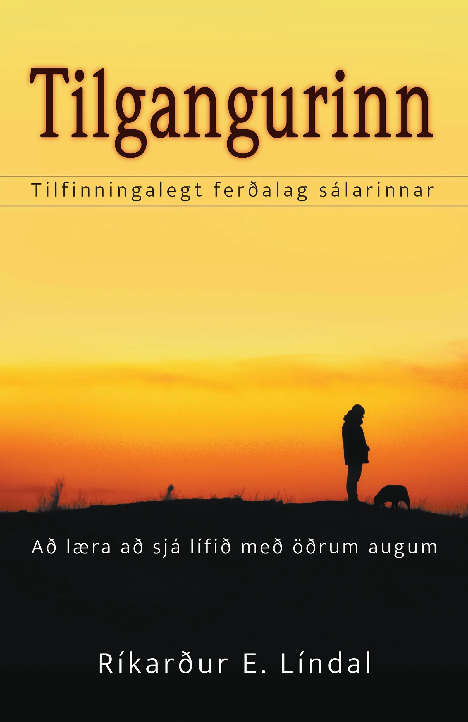 Bókakápa: Tilgangurinn Tilfinningalegt ferðalag sálarinnar. Að læra að sjá lífið með öðrum augum.