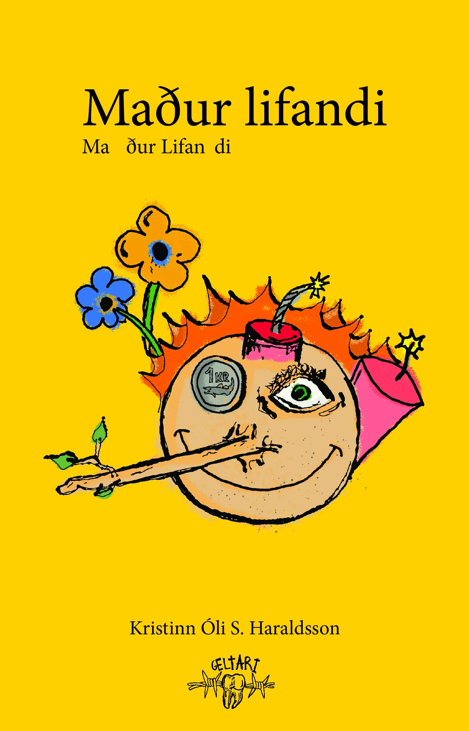 Forsíða kápu bókarinnar