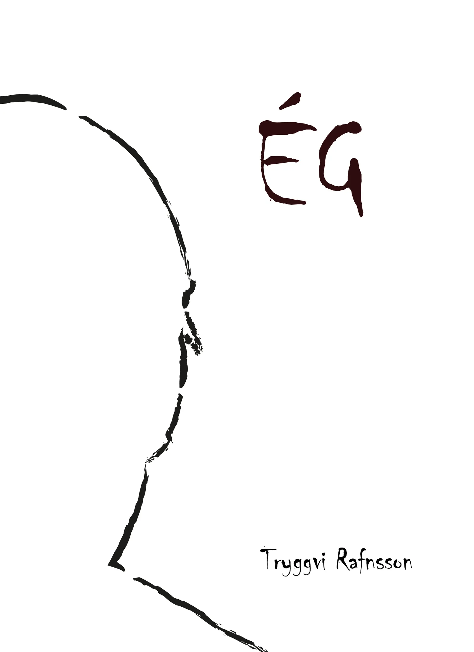 Forsíða kápu bókarinnar