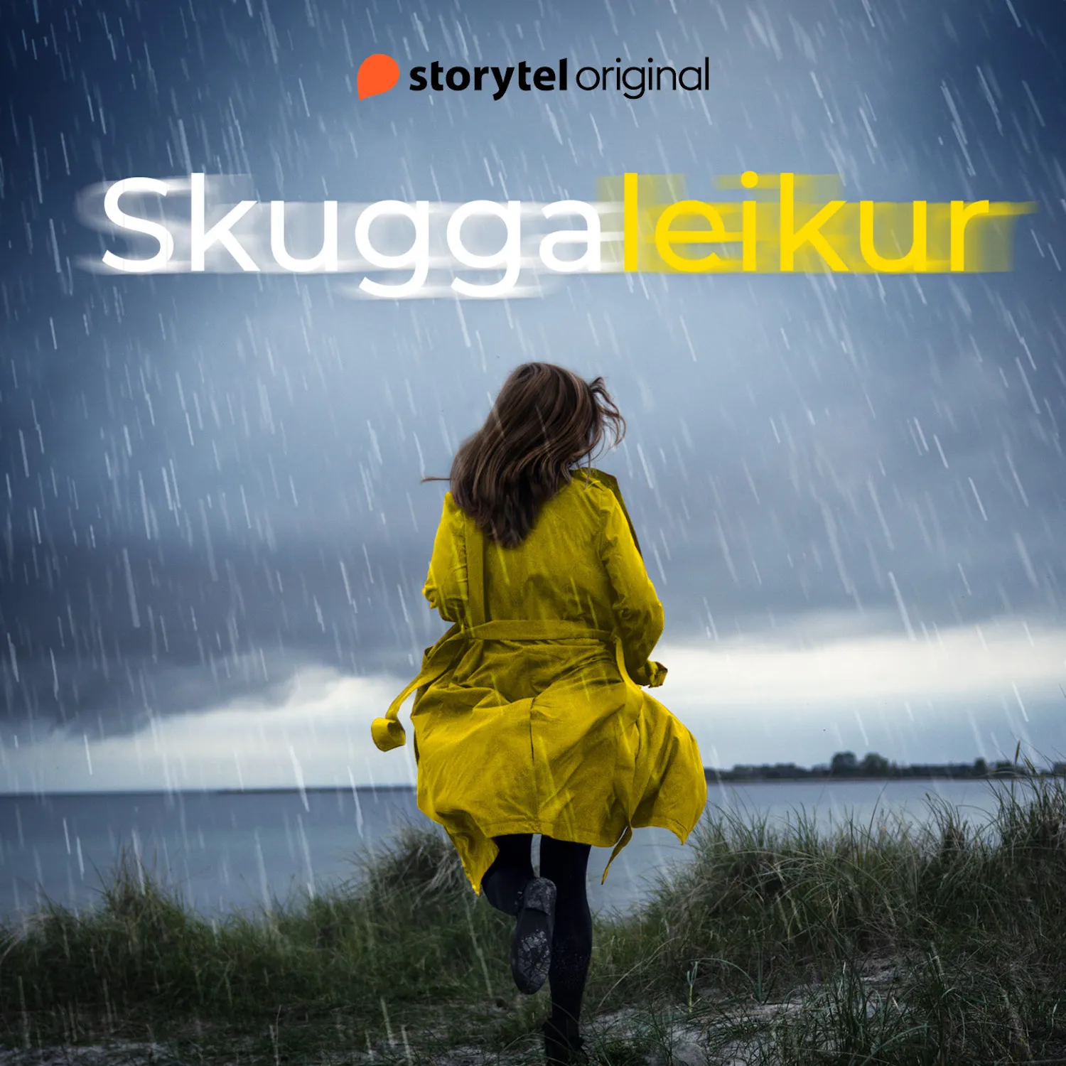 Forsíða kápu bókarinnar