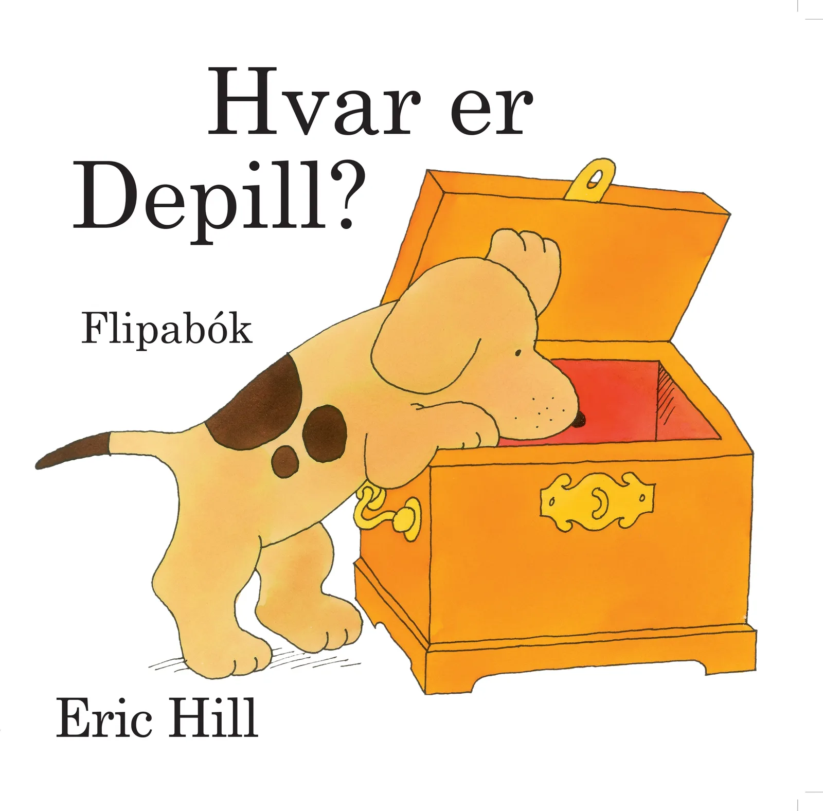 Forsíða kápu bókarinnar