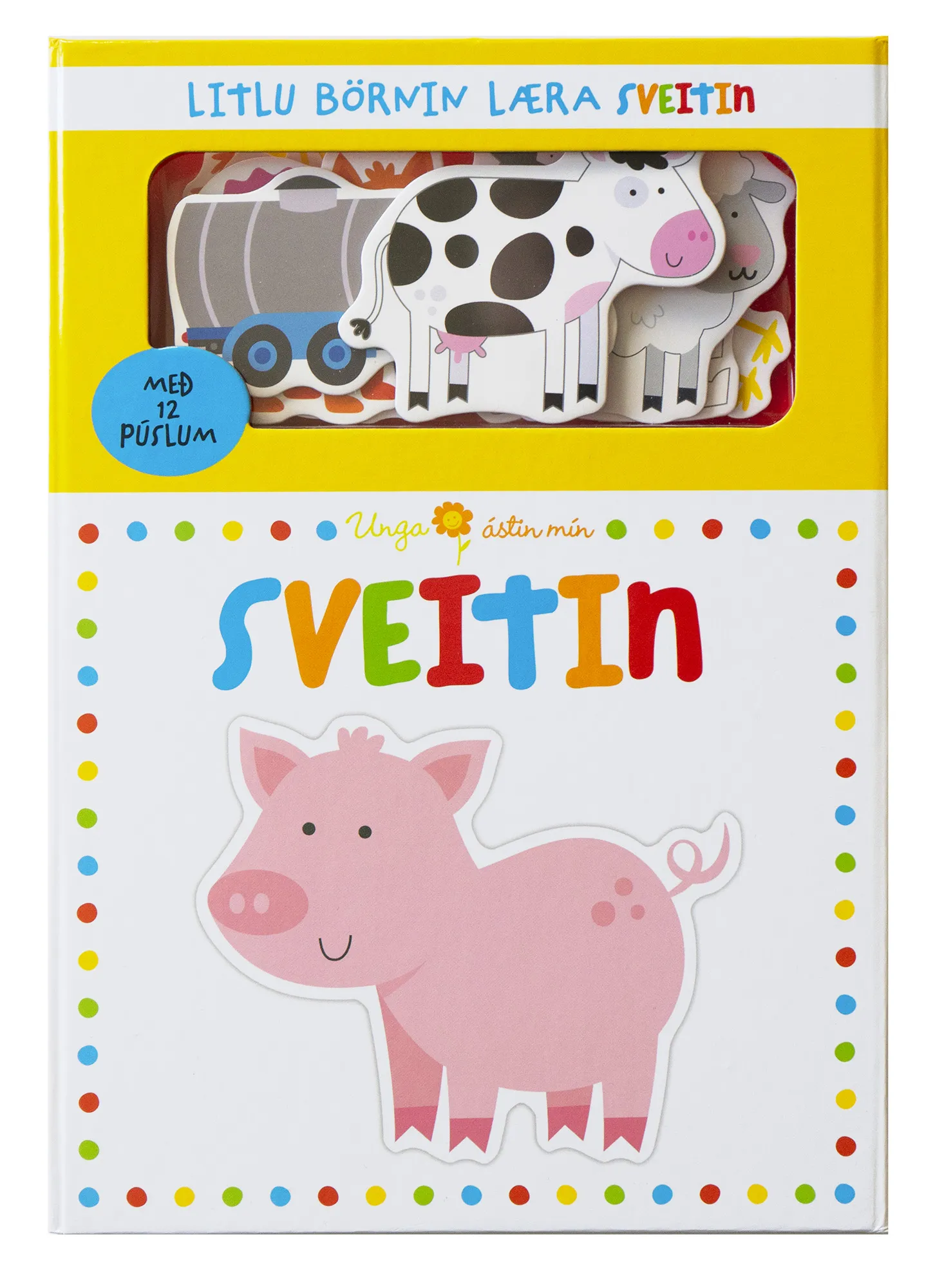 Forsíða kápu bókarinnar