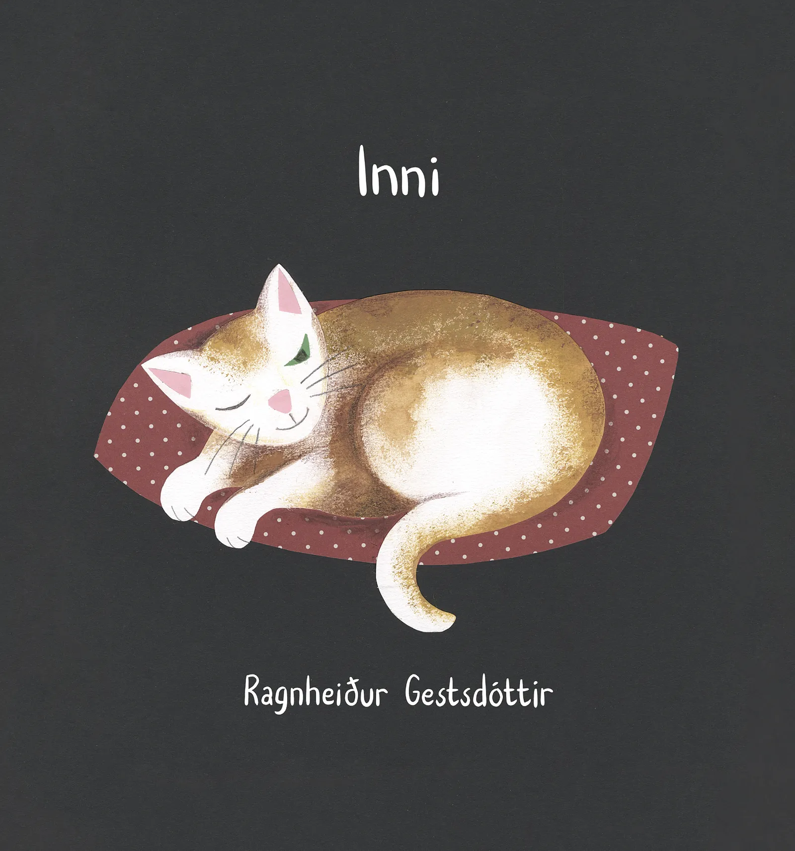 Forsíða kápu bókarinnar