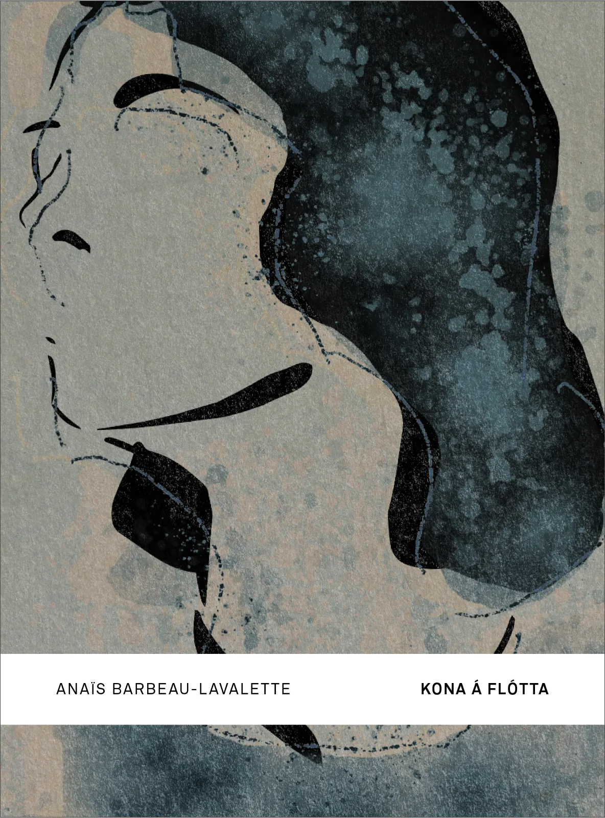 Forsíða kápu bókarinnar