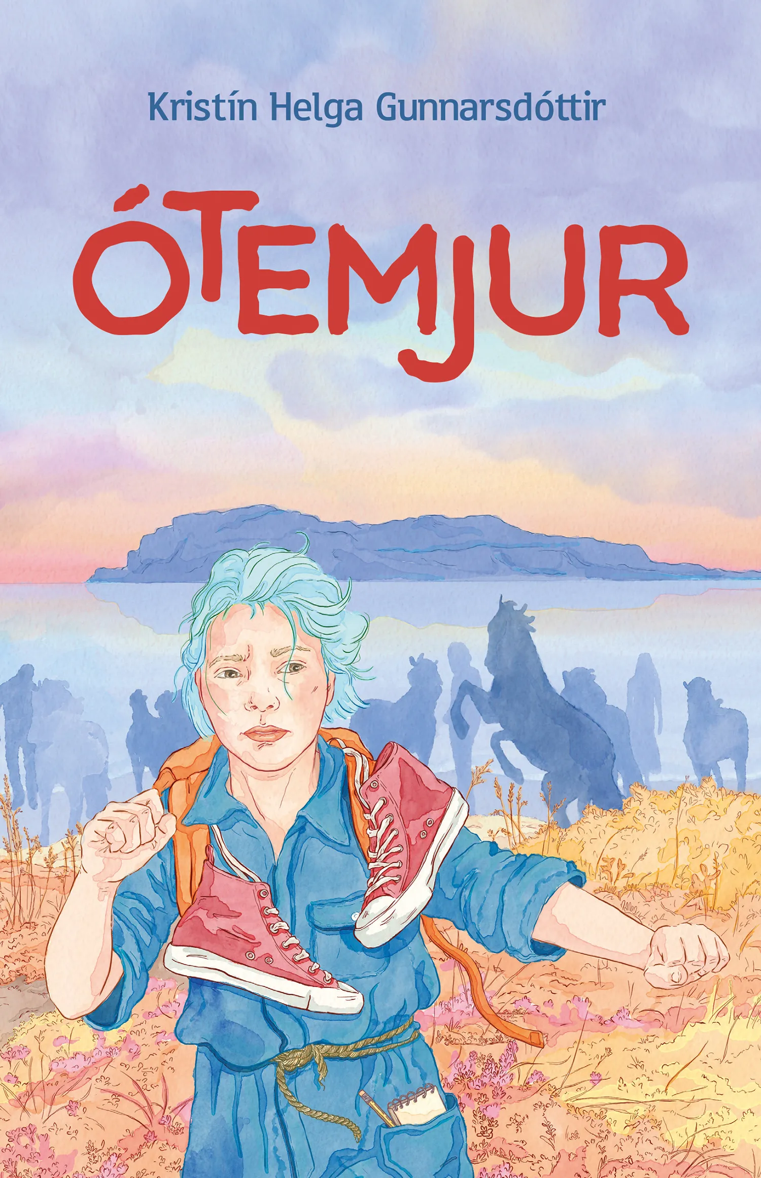 Forsíða kápu bókarinnar