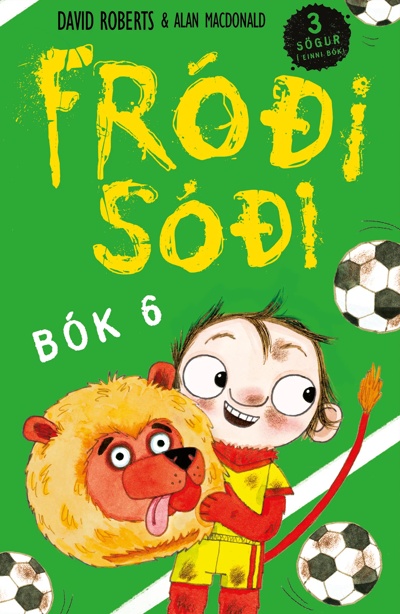 Forsíða kápu bókarinnar