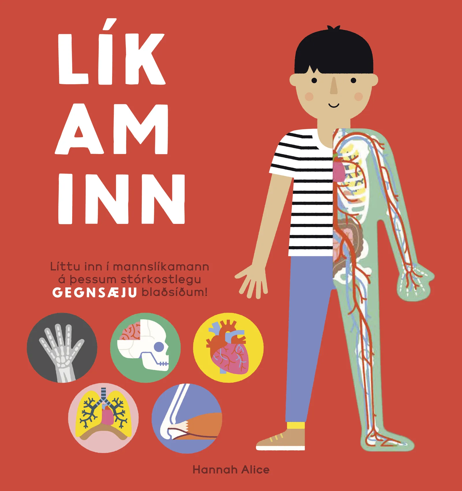 Forsíða kápu bókarinnar