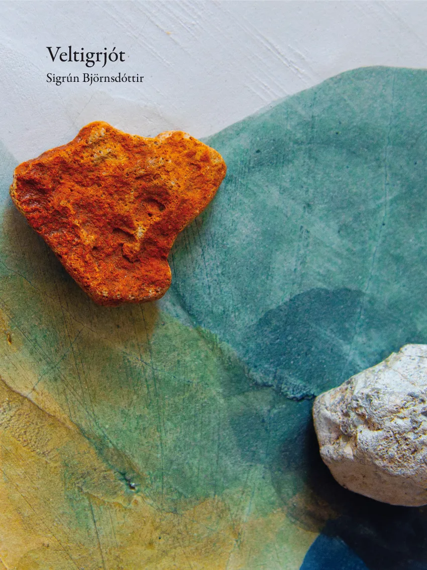 Forsíða kápu bókarinnar