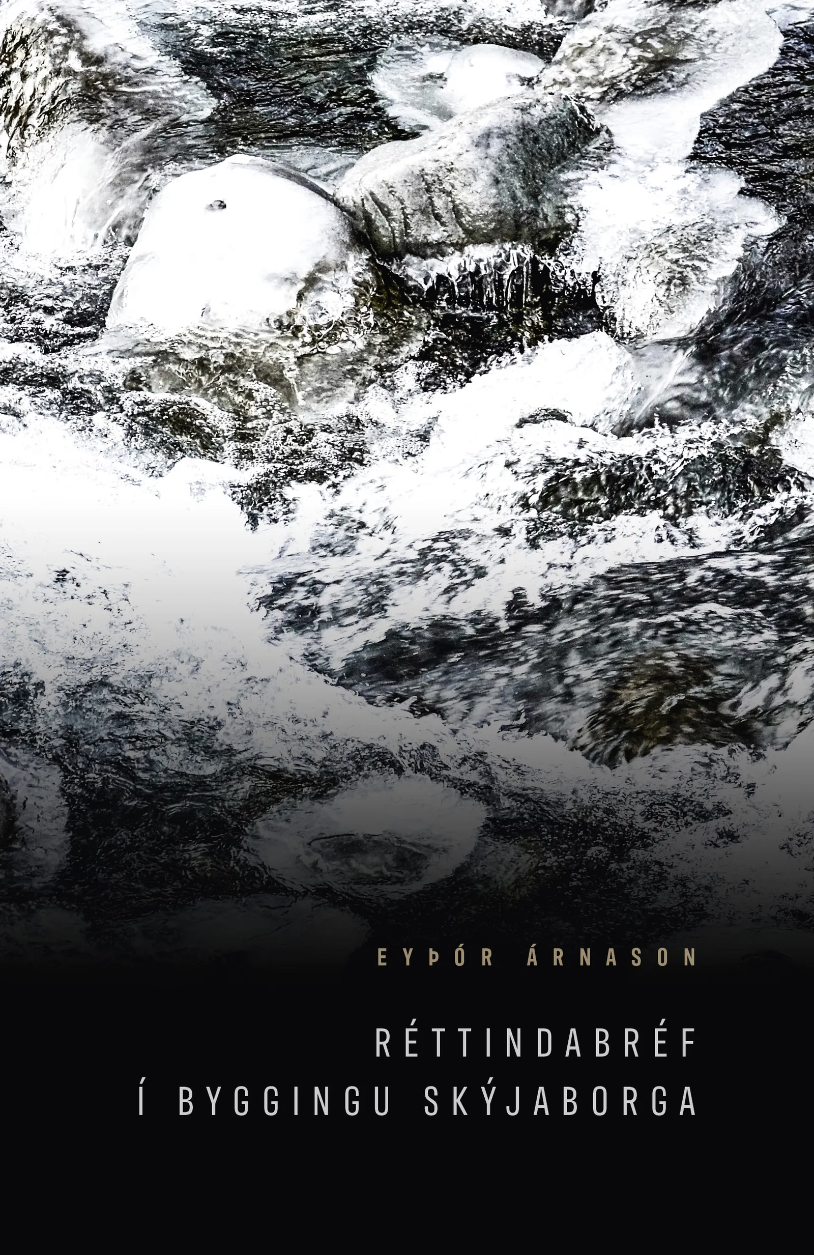 Forsíða kápu bókarinnar