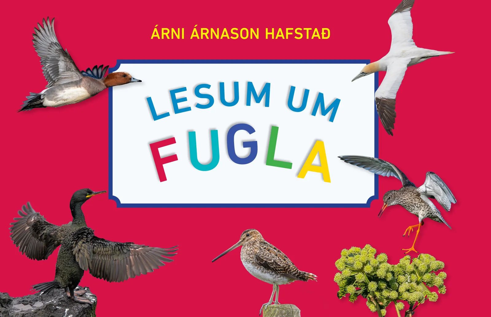 Forsíða kápu bókarinnar