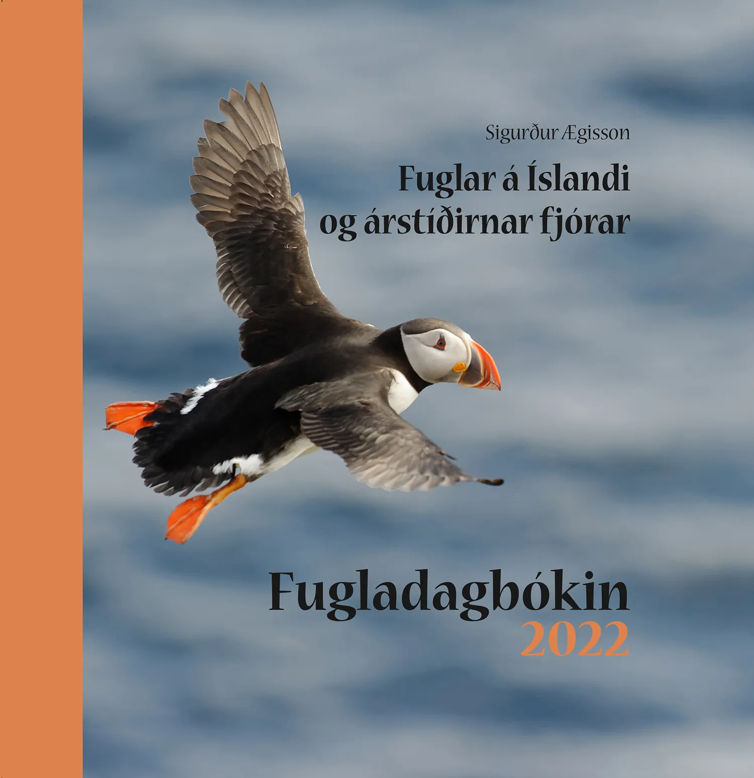 Forsíða kápu bókarinnar