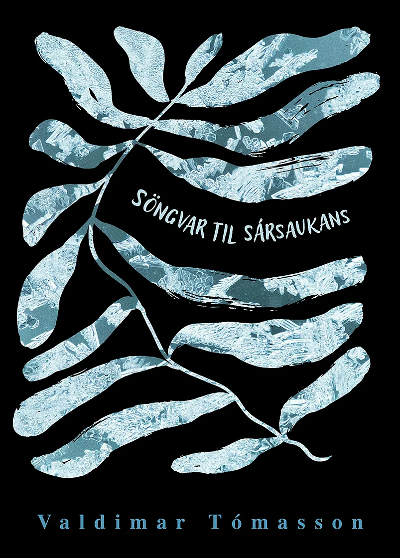 Forsíða kápu bókarinnar