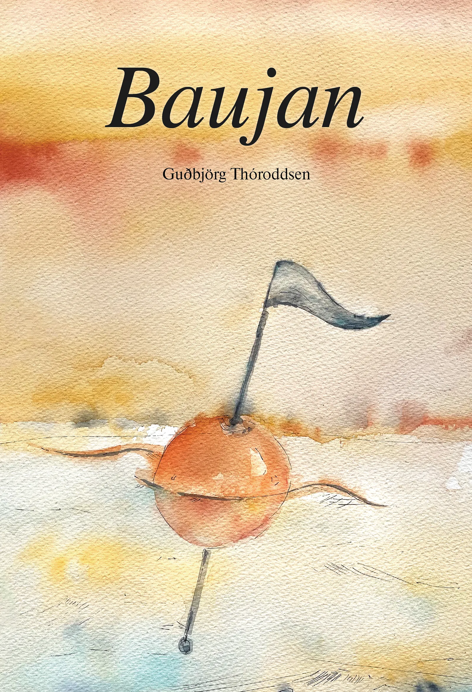 Forsíða kápu bókarinnar