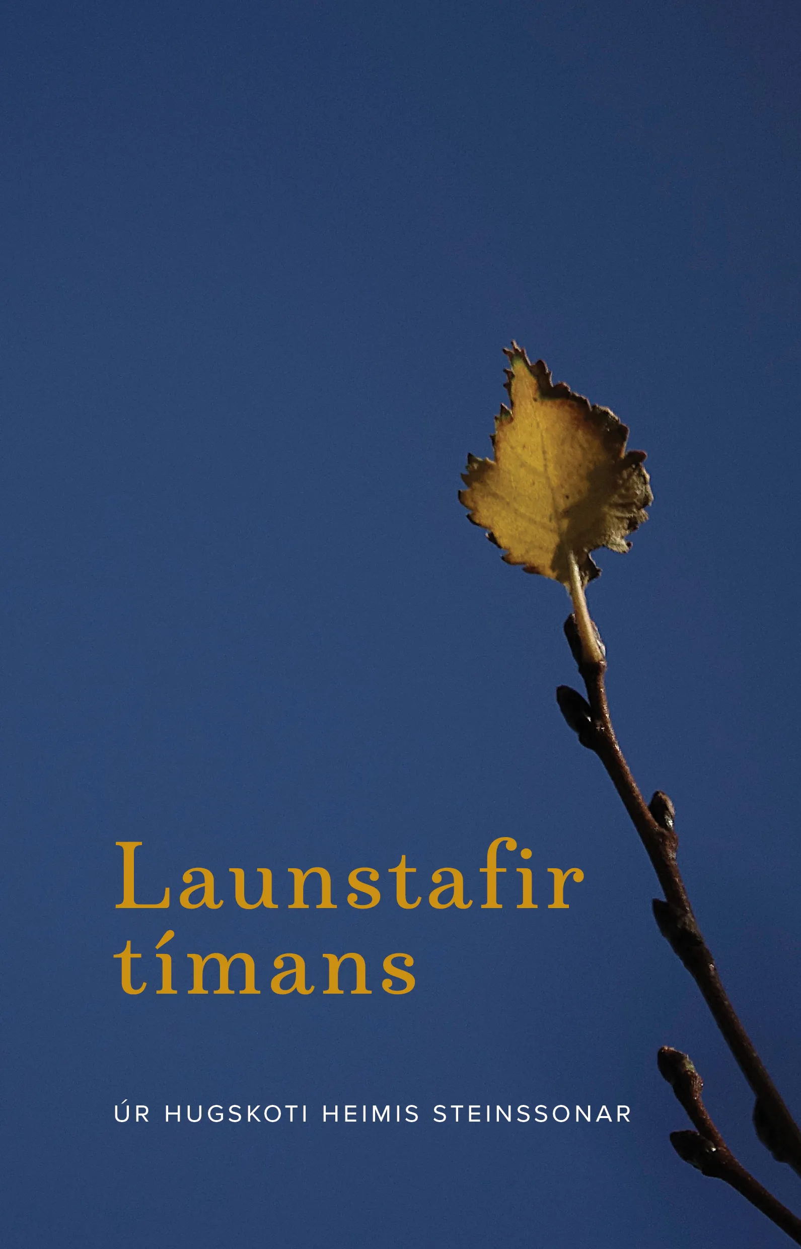 Forsíða kápu bókarinnar