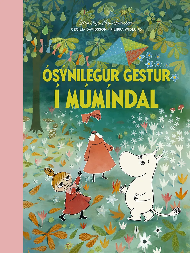 Forsíða kápu bókarinnar