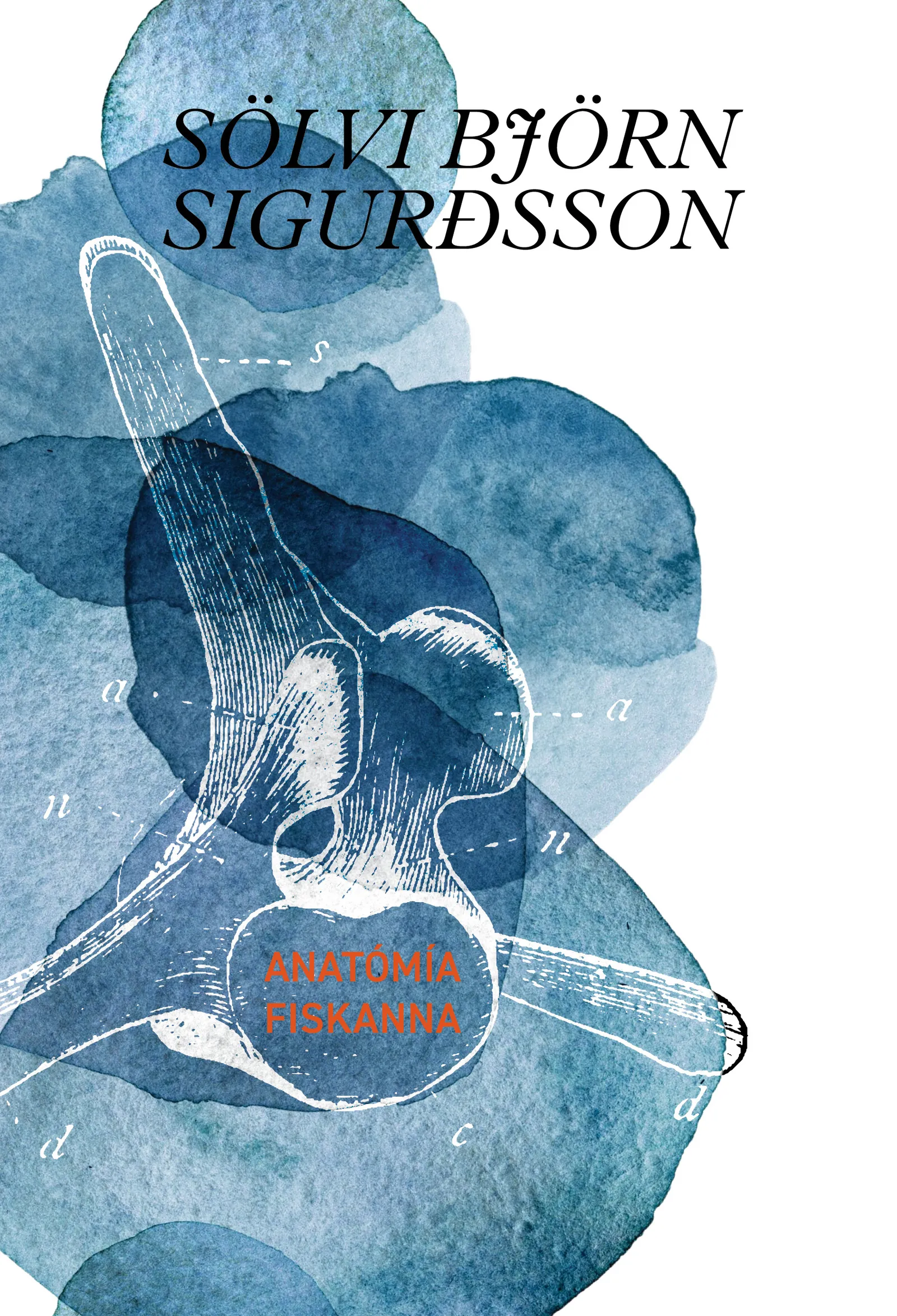 Forsíða kápu bókarinnar