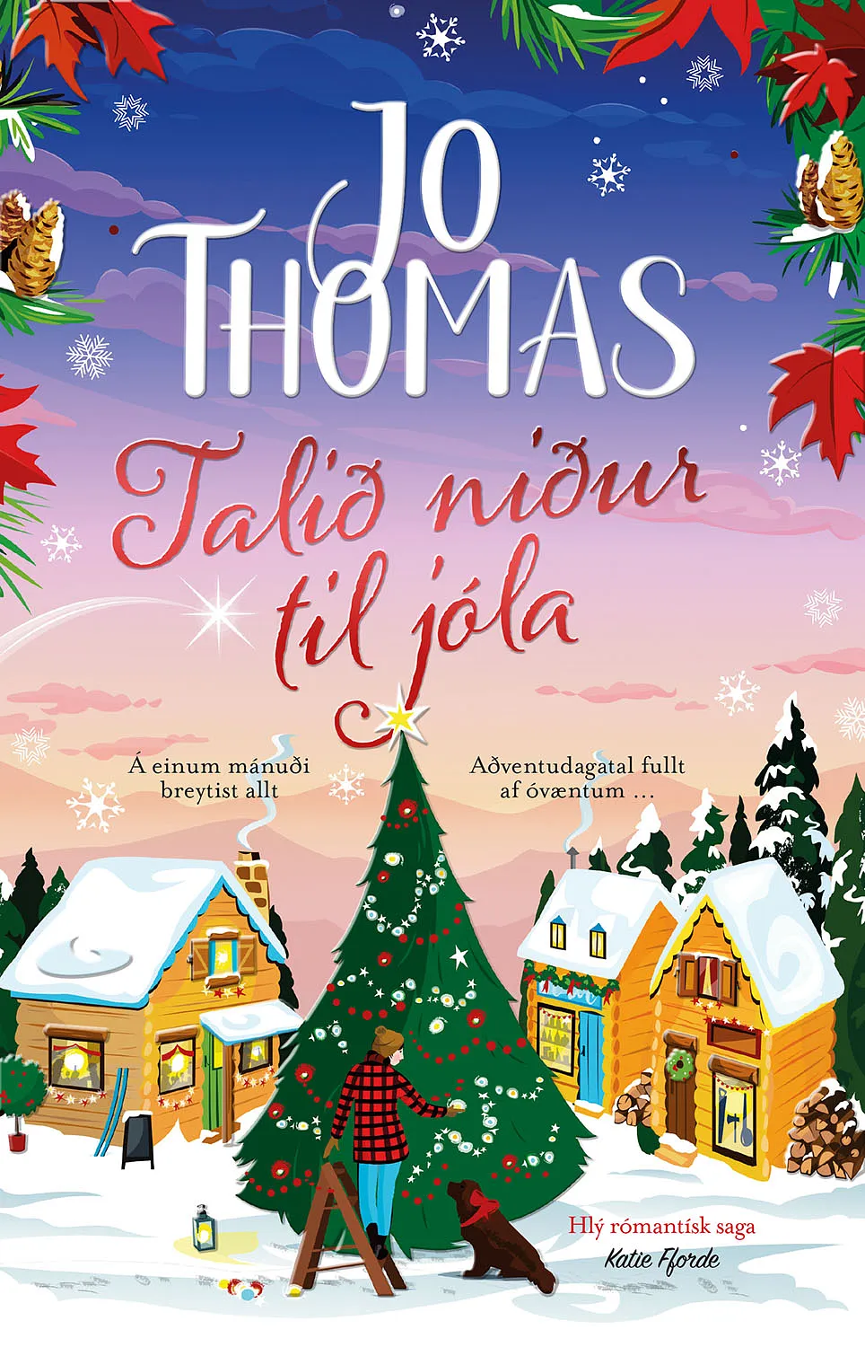 Forsíða kápu bókarinnar