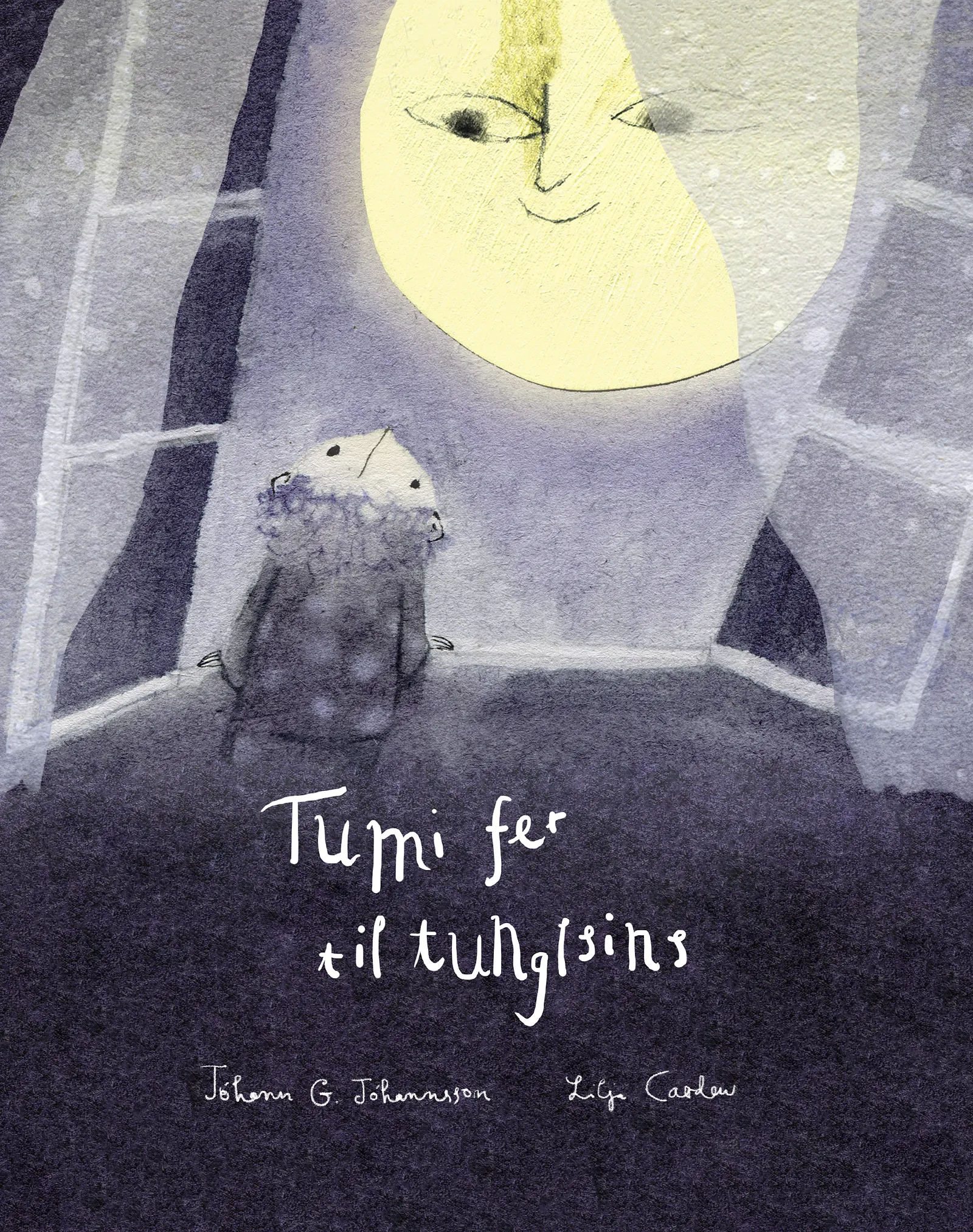 Forsíða kápu bókarinnar