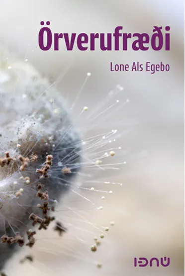 Forsíða kápu bókarinnar