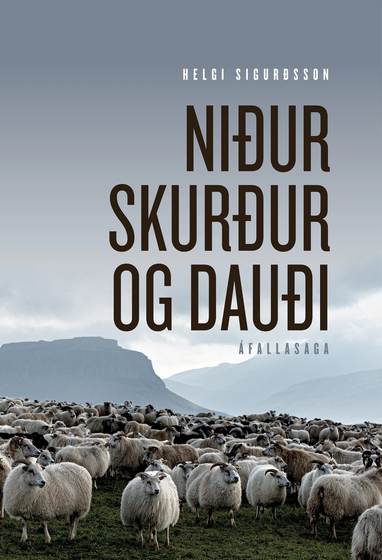 Bókakápa: Niðurskurður og dauði Áfallasaga