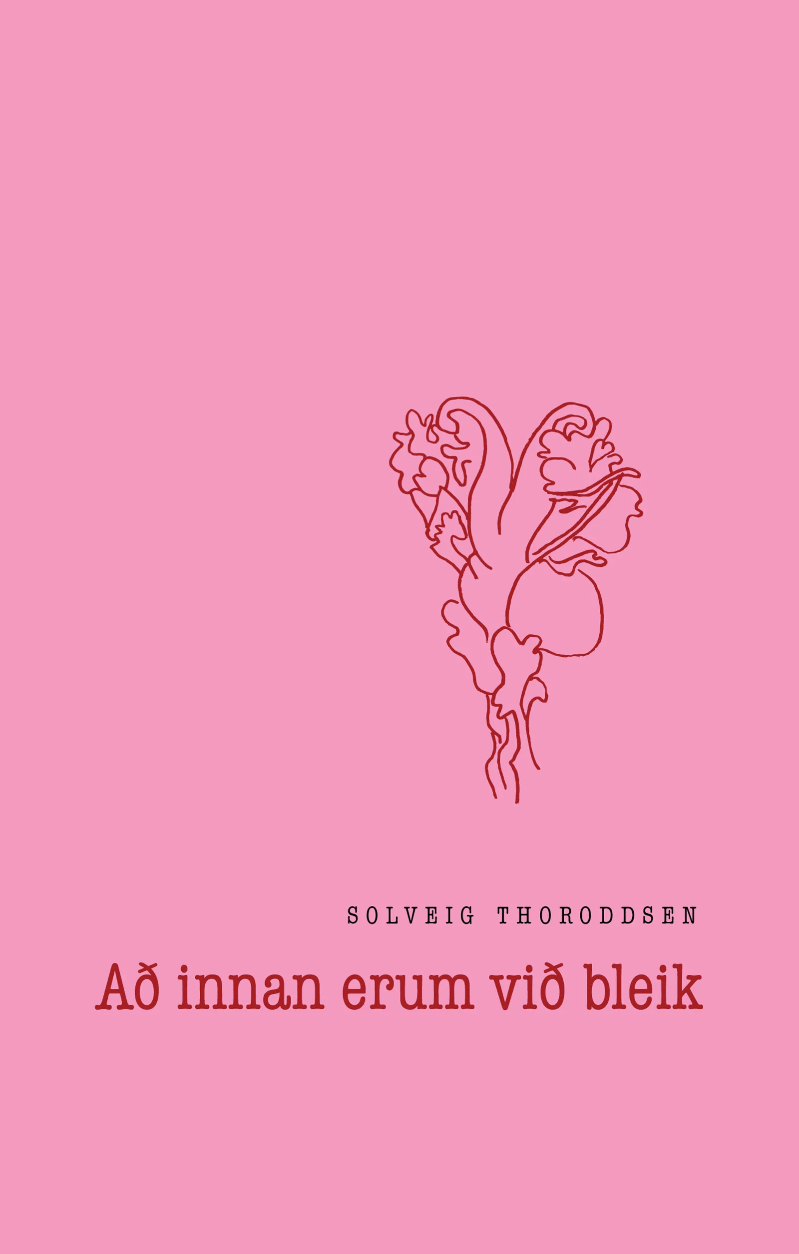 Forsíða kápu bókarinnar