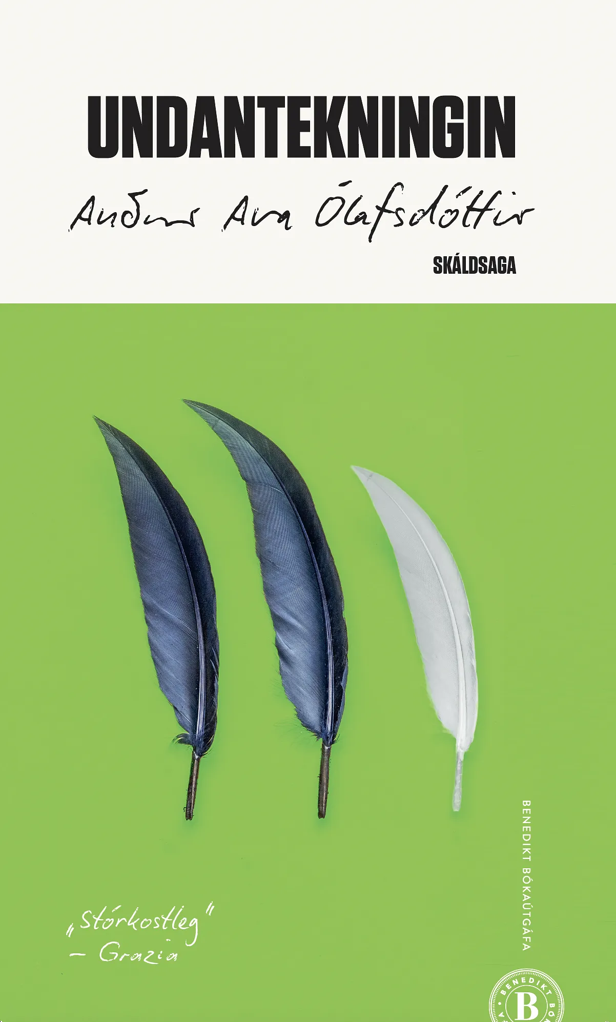 Bókakápa: Undantekningin (de arte poetica)