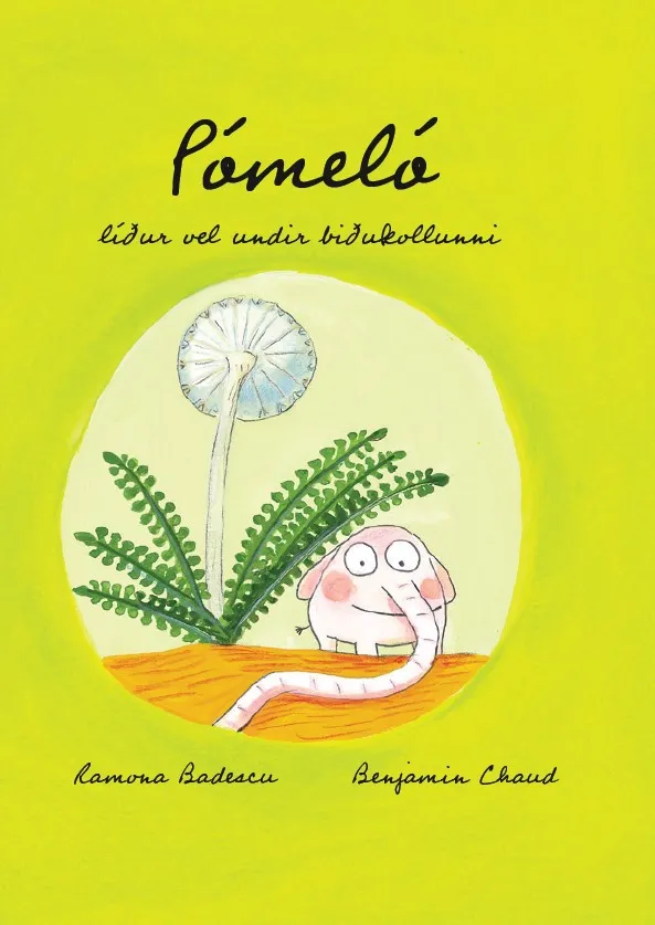 Forsíða kápu bókarinnar