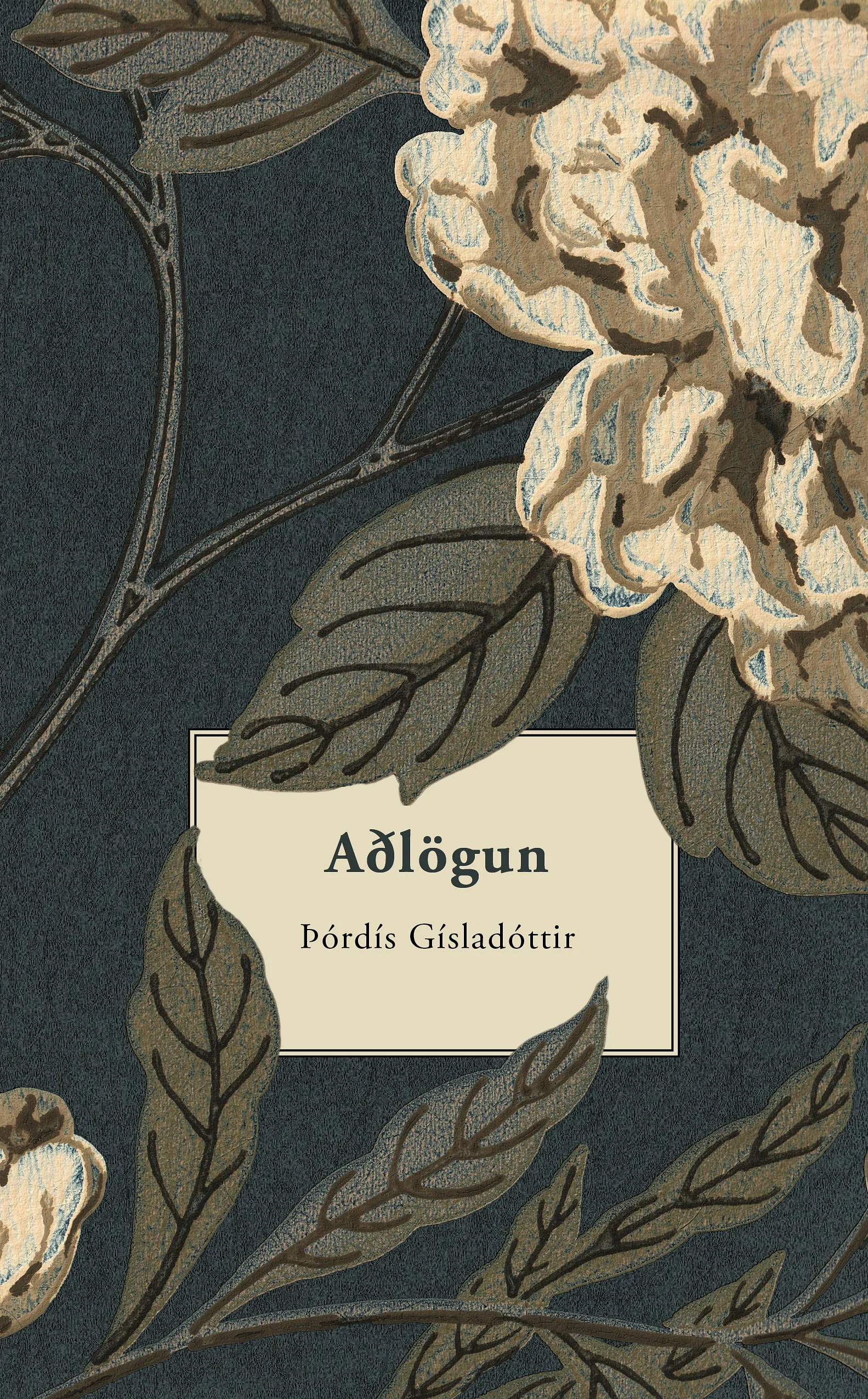 Forsíða kápu bókarinnar