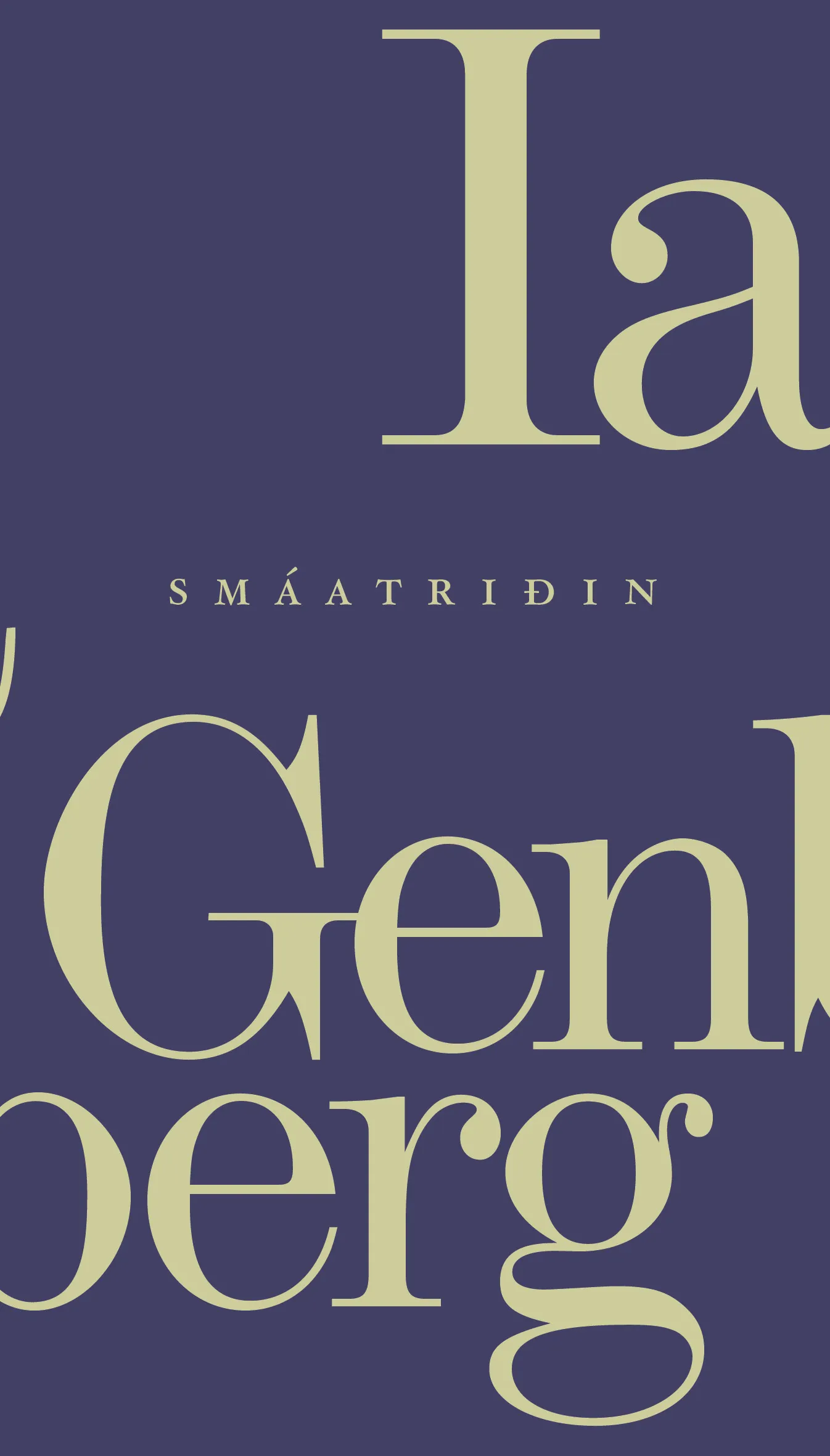 Forsíða kápu bókarinnar