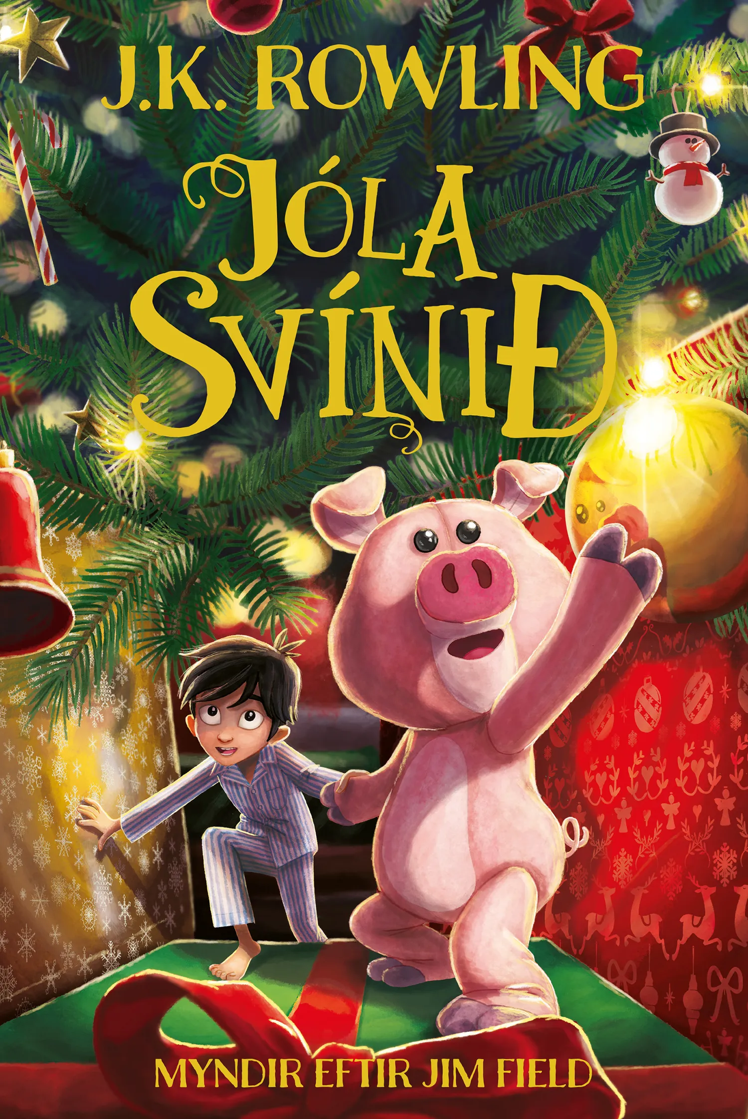 Forsíða kápu bókarinnar