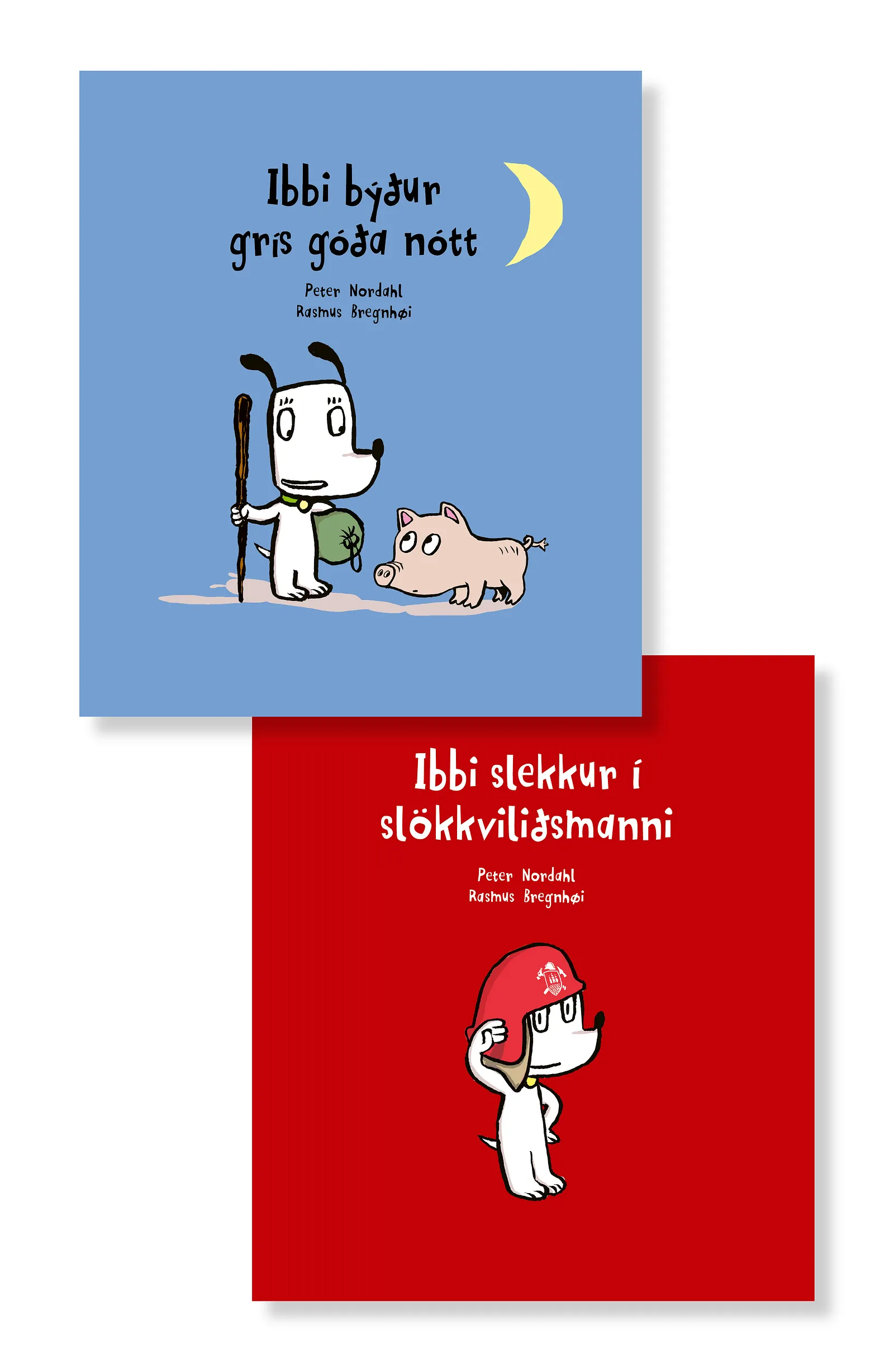 Forsíða kápu bókarinnar