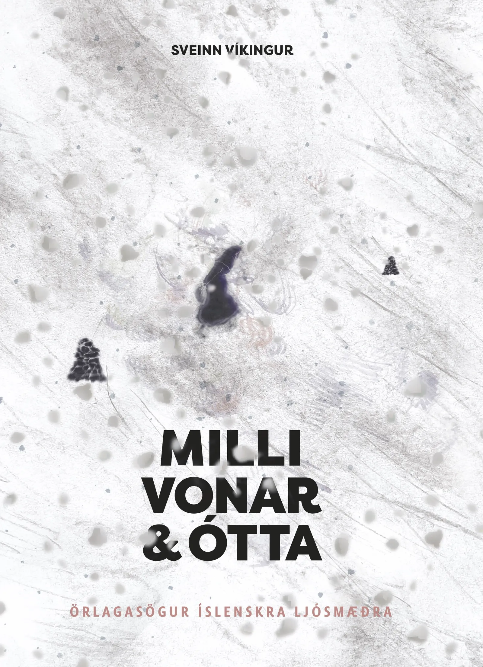 Forsíða kápu bókarinnar