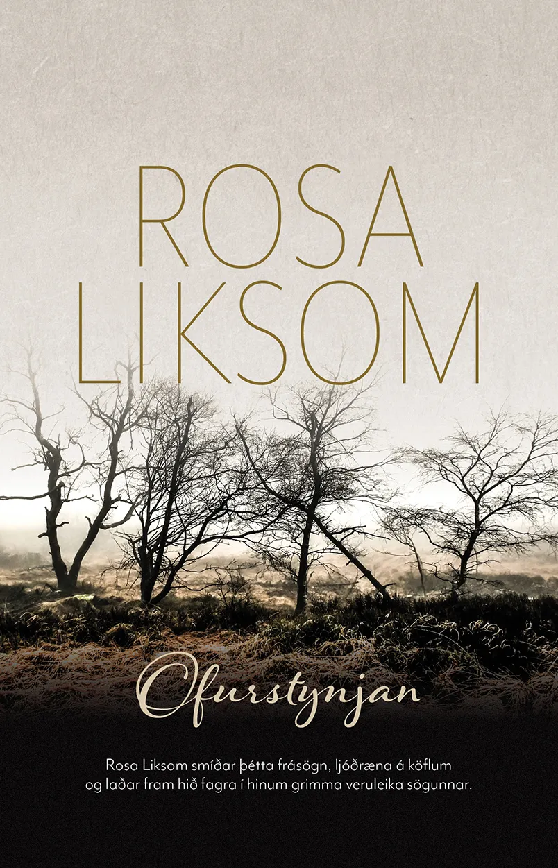 Forsíða kápu bókarinnar