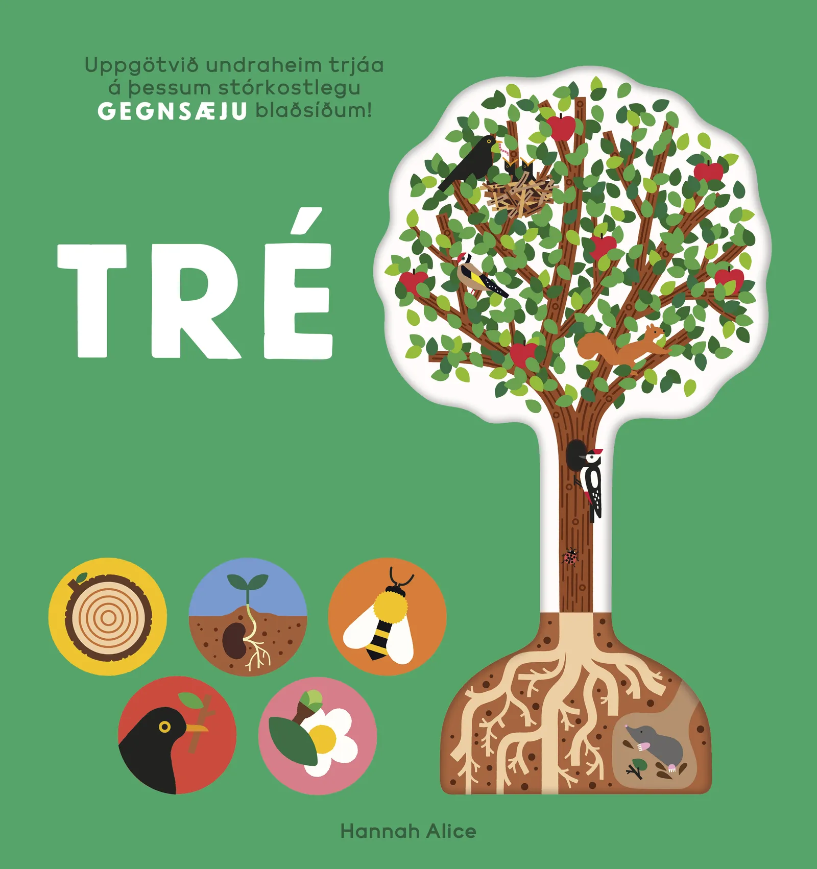 Forsíða kápu bókarinnar