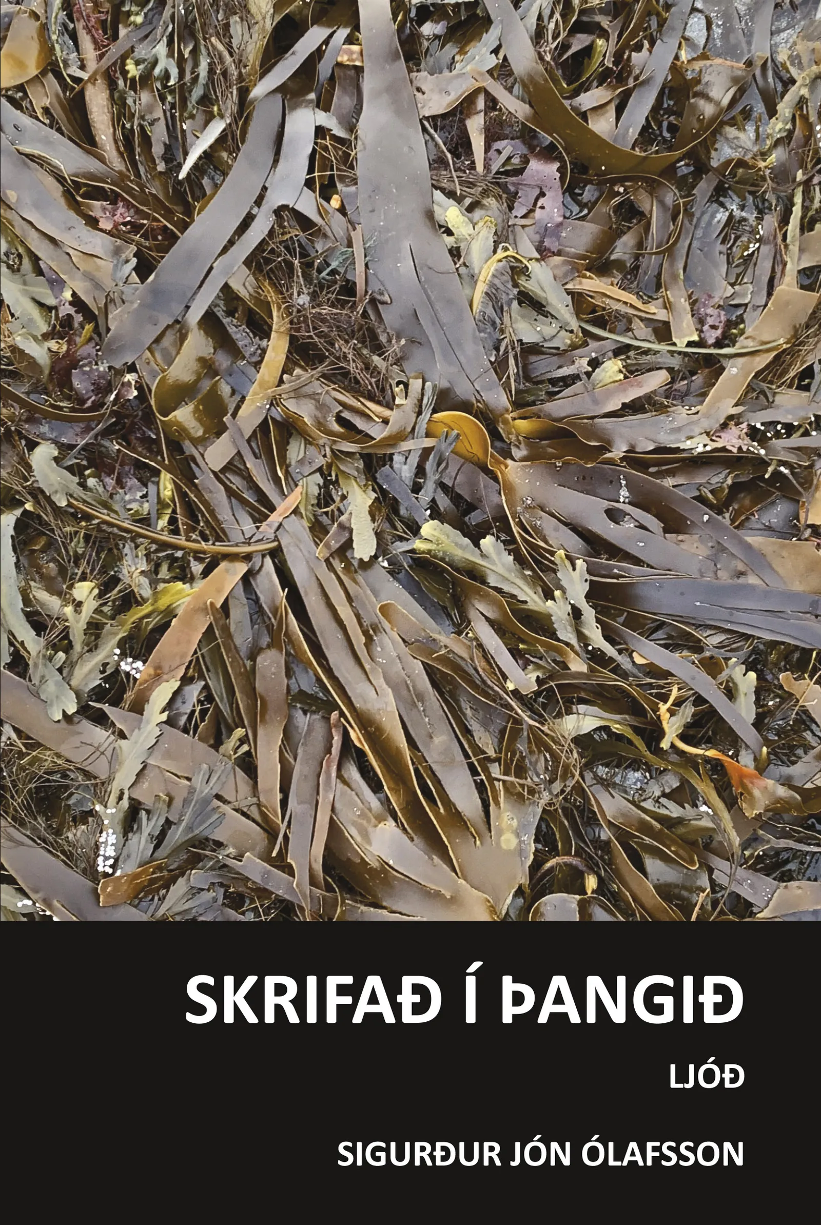 Forsíða kápu bókarinnar