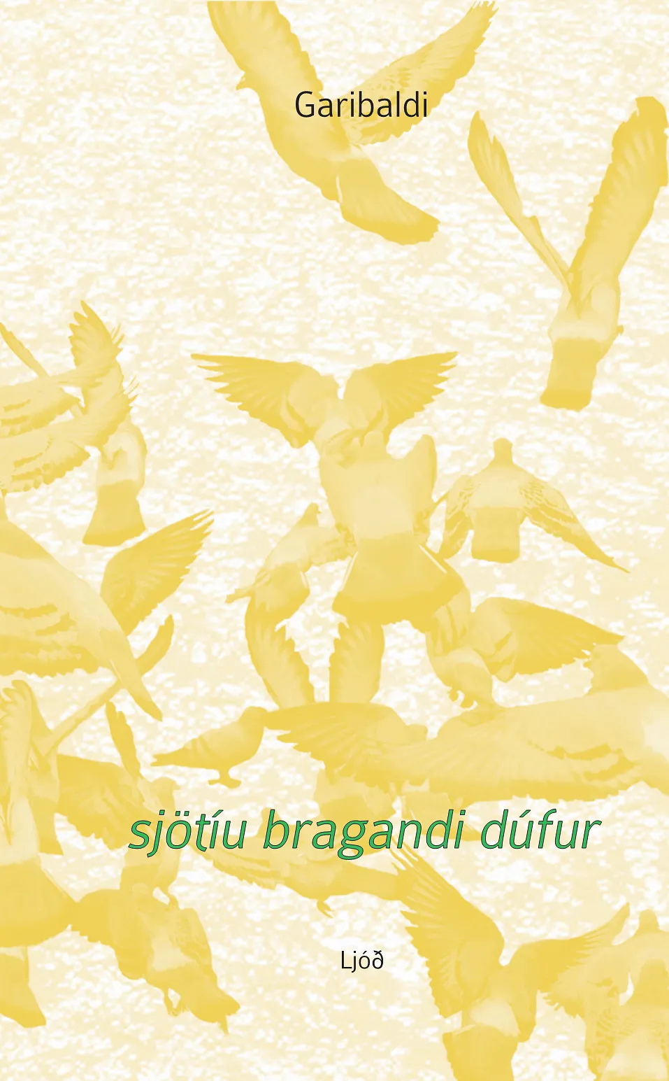 Forsíða kápu bókarinnar