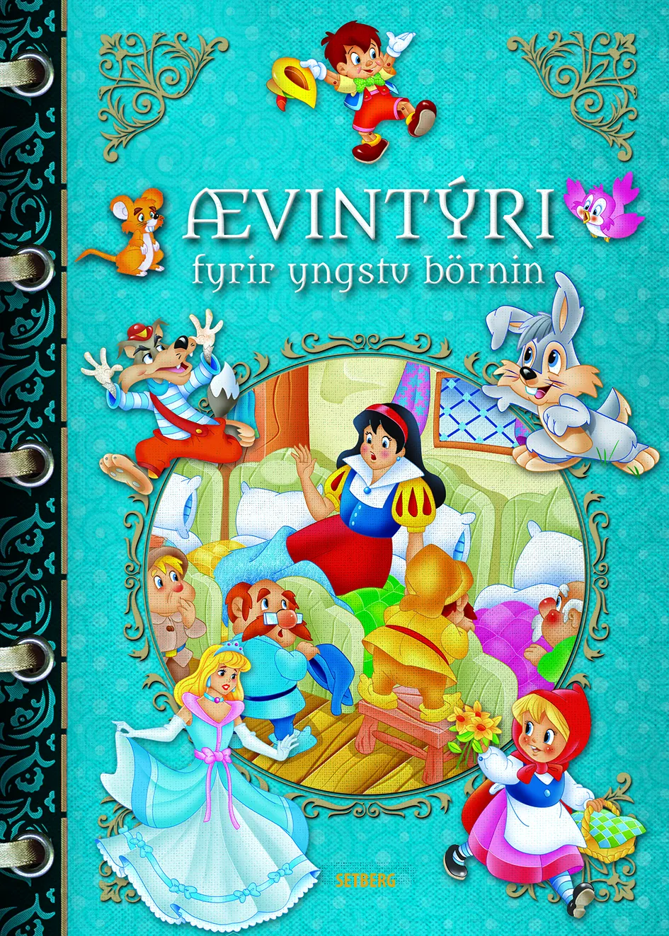 Forsíða kápu bókarinnar