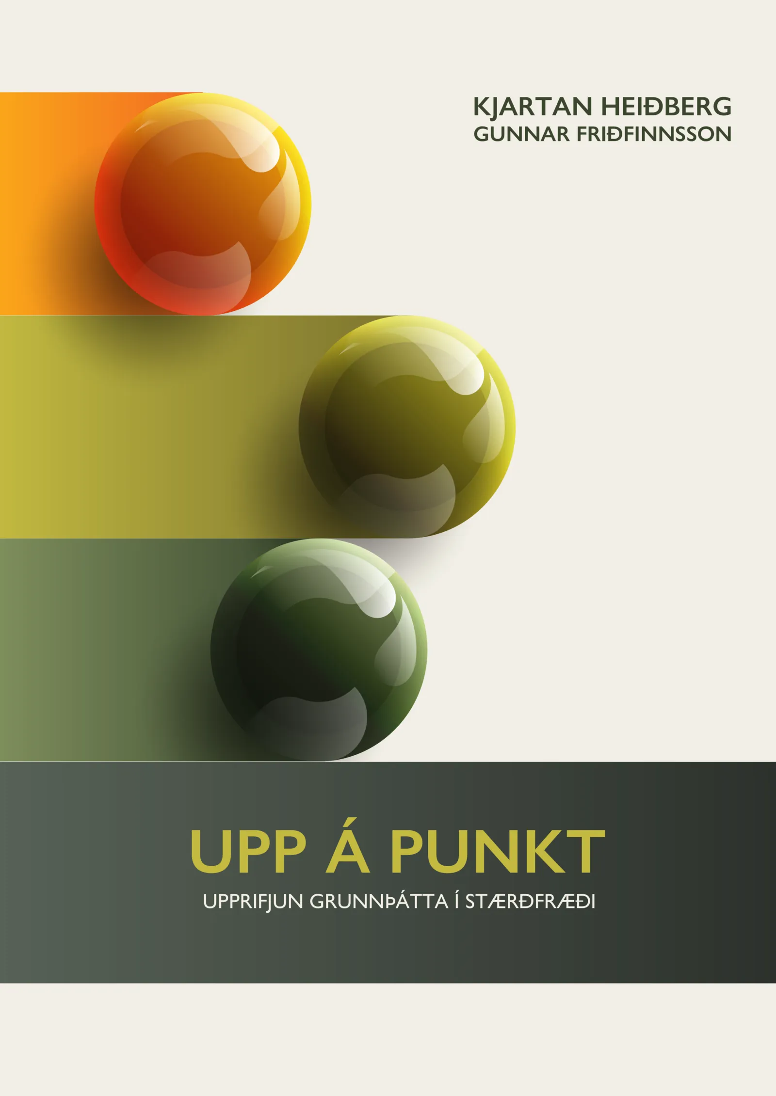 Forsíða kápu bókarinnar