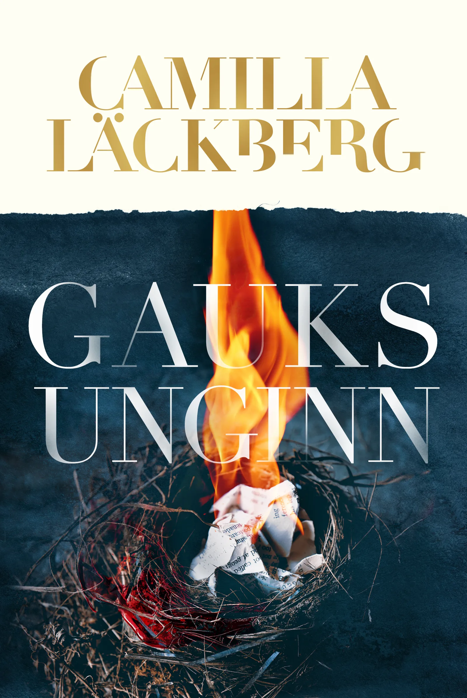 Forsíða kápu bókarinnar