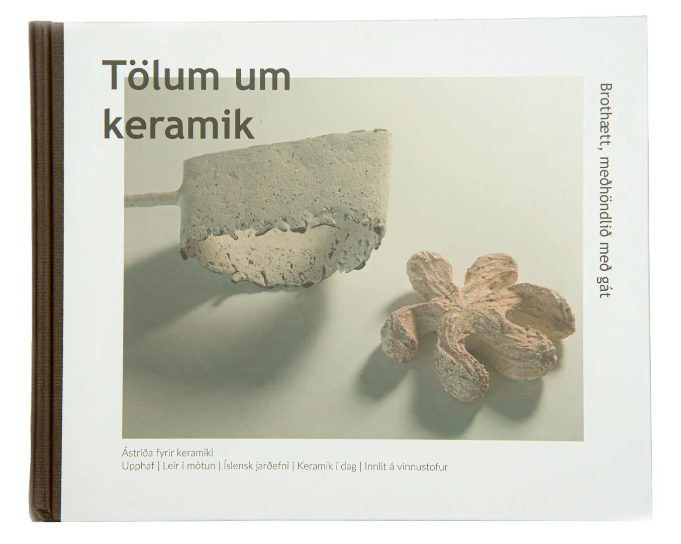 Forsíða kápu bókarinnar