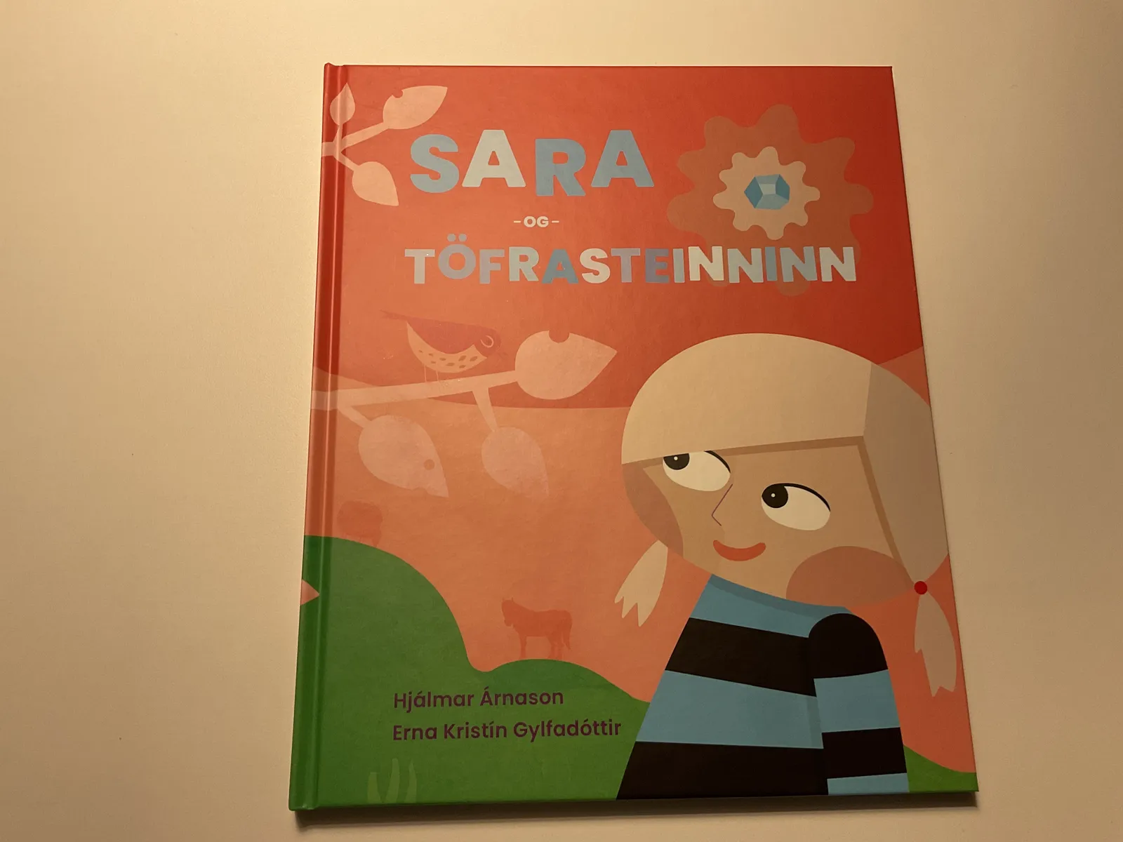 Forsíða kápu bókarinnar