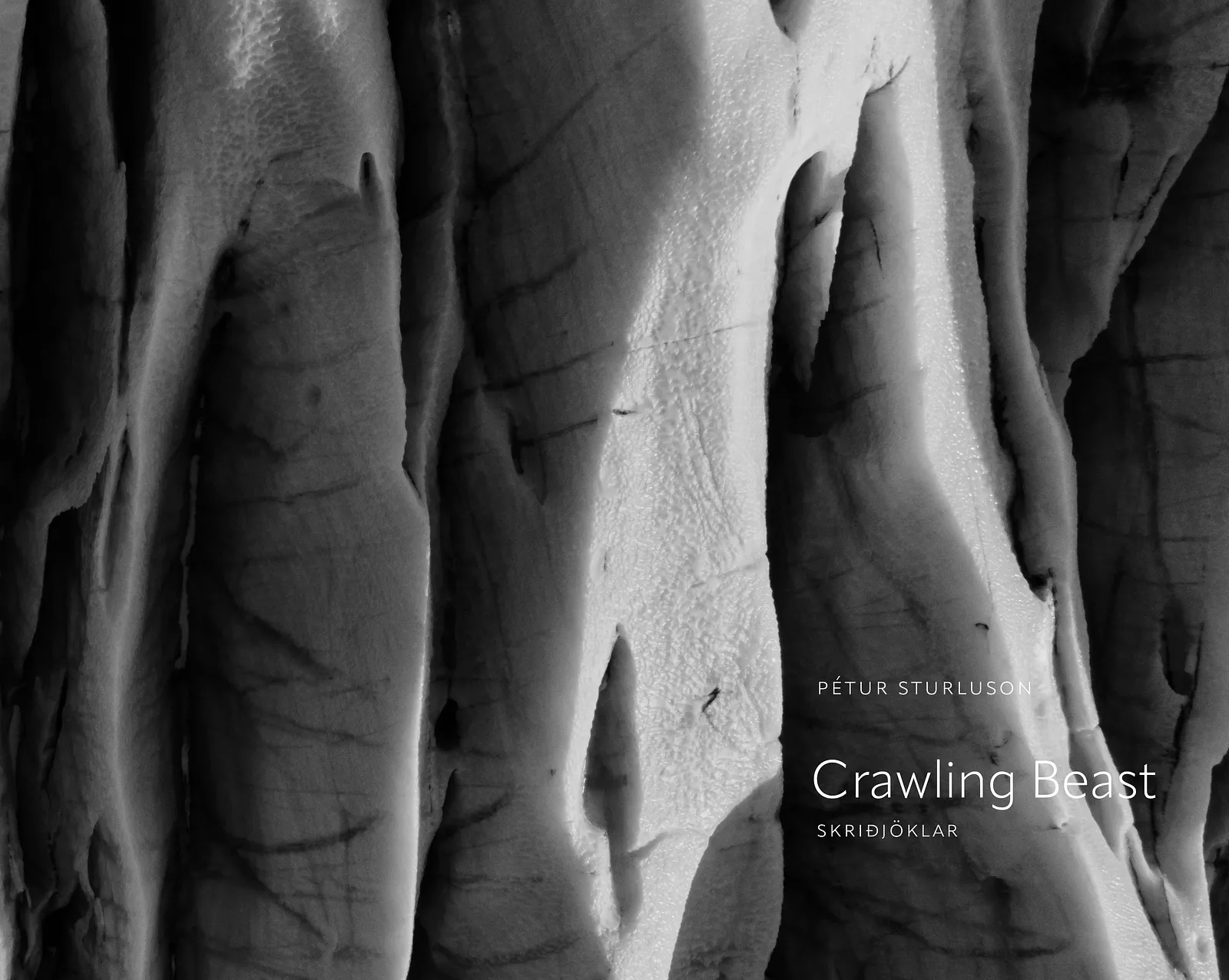 Forsíða kápu bókarinnar