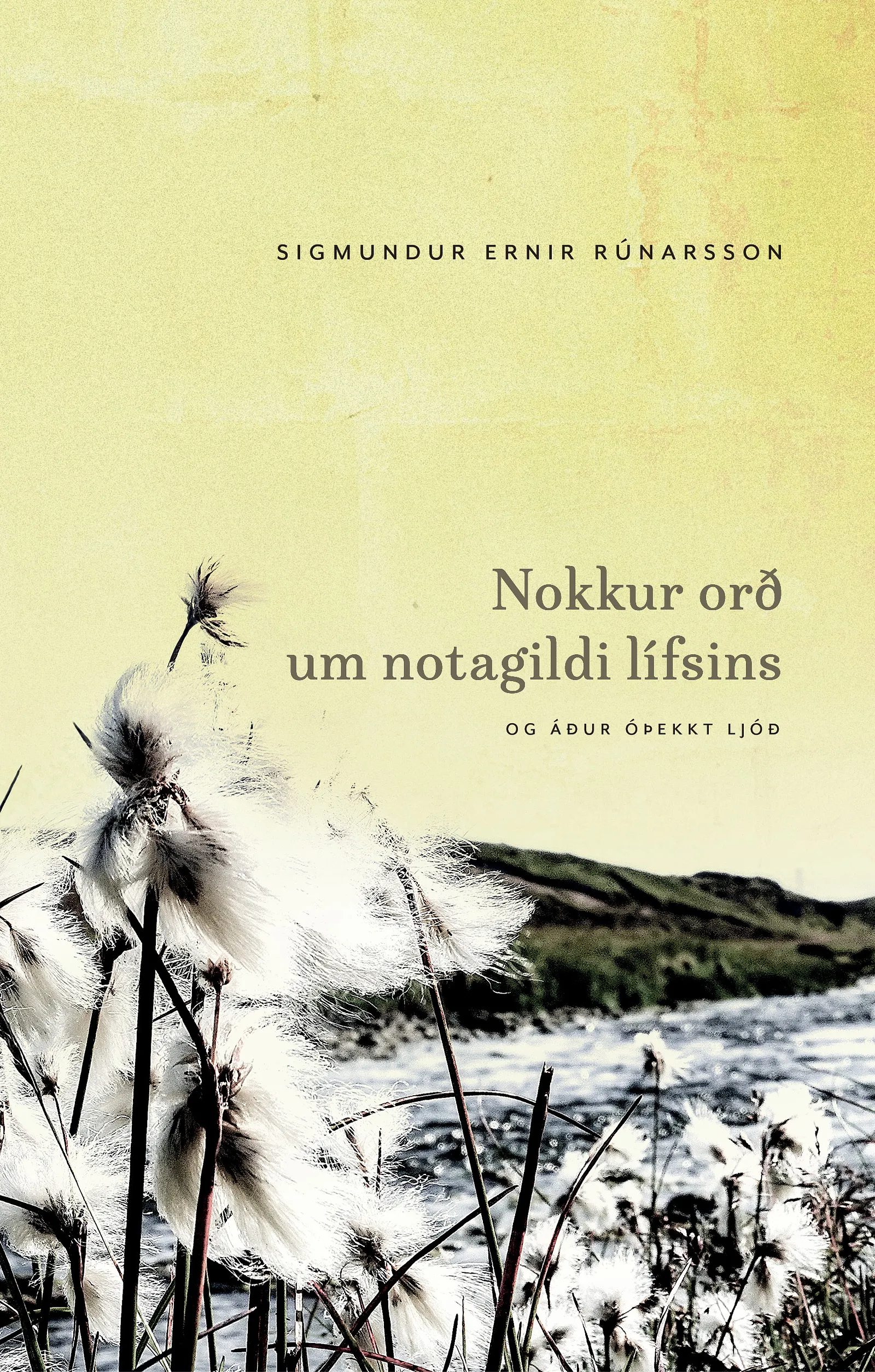 Bókakápa: Nokkur orð um notagildi lífsins og áður óþekkt ljóð