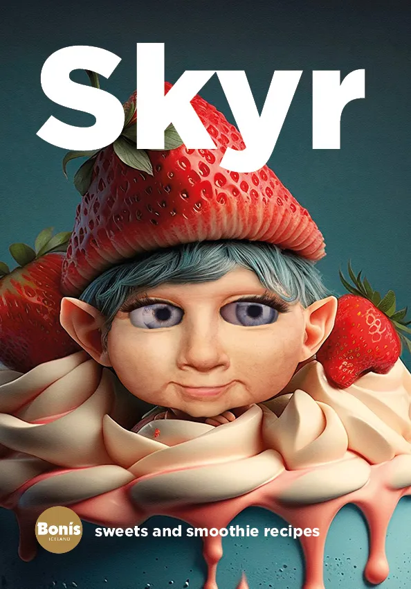 Forsíða kápu bókarinnar