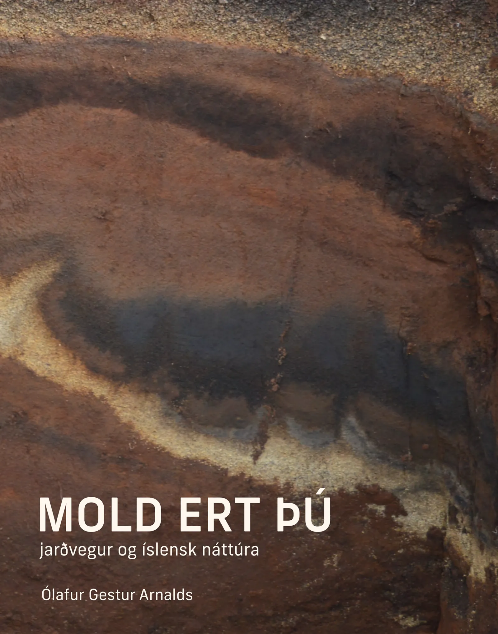 Forsíða kápu bókarinnar