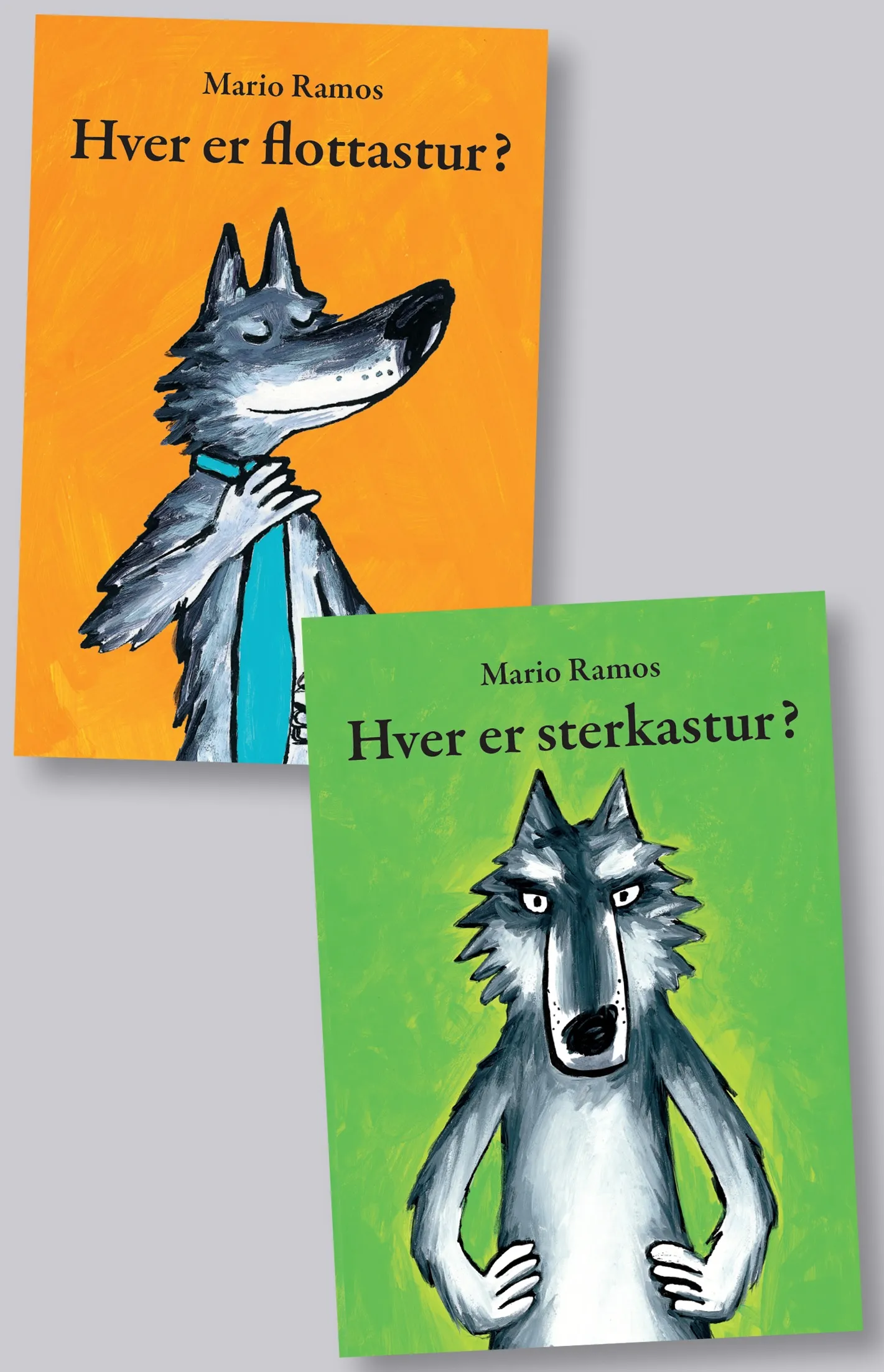 Forsíða kápu bókarinnar