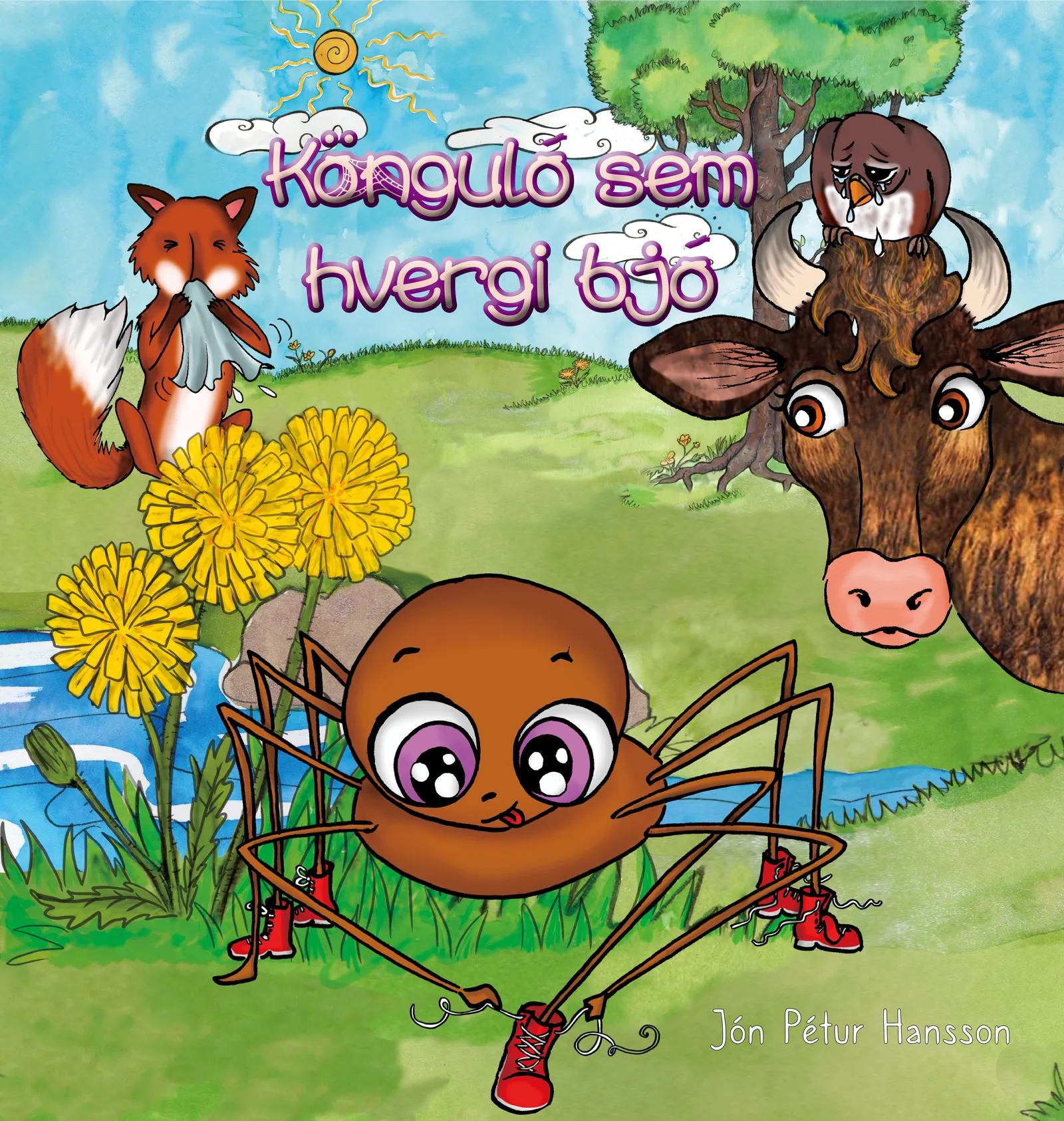 Forsíða kápu bókarinnar