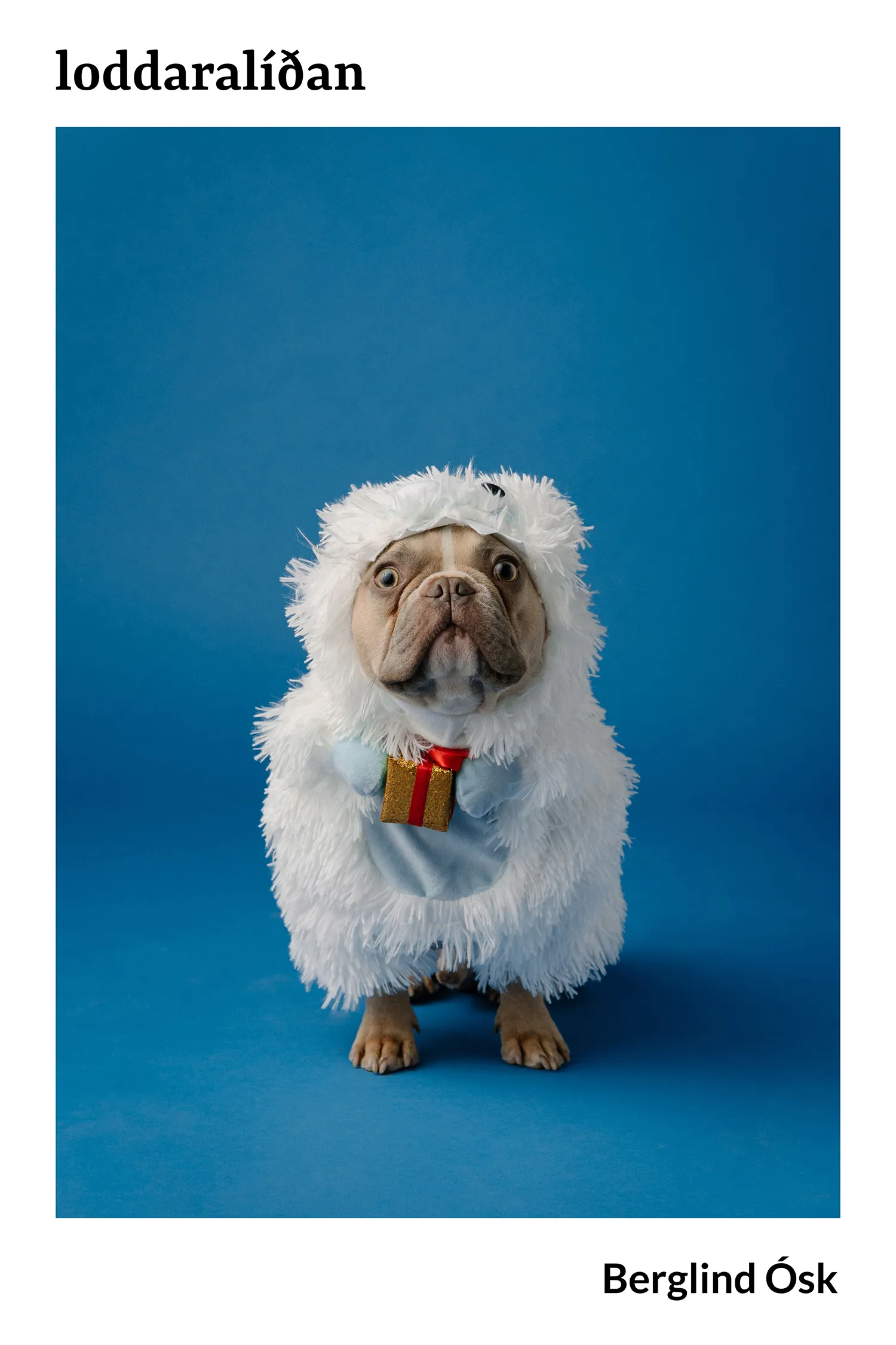 Forsíða kápu bókarinnar