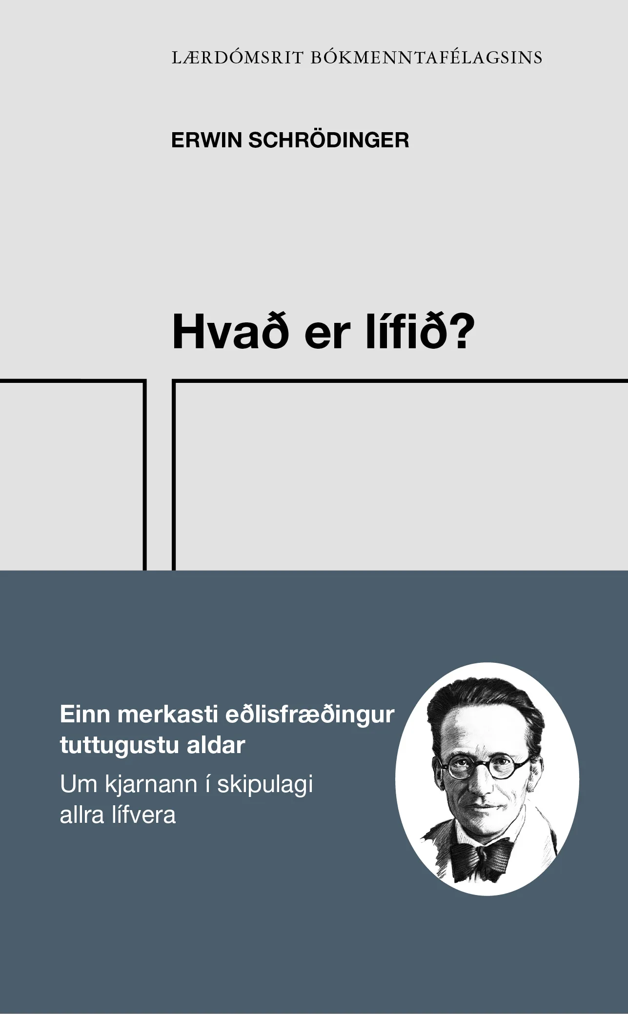 Forsíða kápu bókarinnar