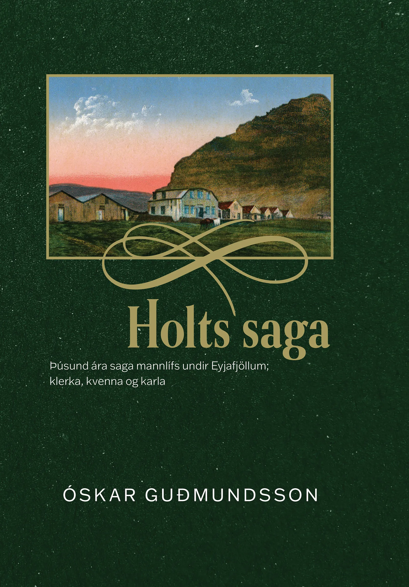 Bókakápa: Holtssaga